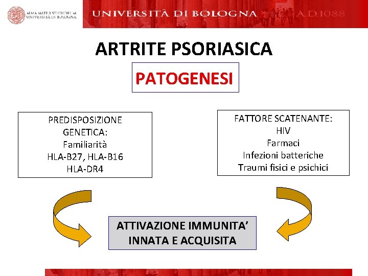 ARTRITE PSORIASICA PATOGENESI PREDISPOSIZIONE GENETICA: Familiarità HLA-B 27, HLA-B 16 HLA-DR 4 FATTORE SCATENANTE: ARTRITE PSORIASICA PATOGENESI PREDISPOSIZIONE GENETICA: Familiarità HLA-B 27, HLA-B 16 HLA-DR 4 FATTORE SCATENANTE: