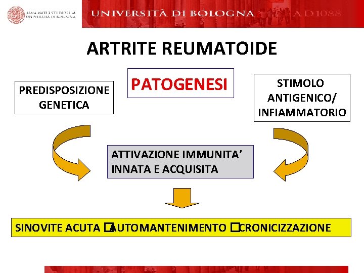 ARTRITE REUMATOIDE PREDISPOSIZIONE GENETICA PATOGENESI STIMOLO ANTIGENICO/ INFIAMMATORIO ATTIVAZIONE IMMUNITA’ INNATA E ACQUISITA SINOVITE ARTRITE REUMATOIDE PREDISPOSIZIONE GENETICA PATOGENESI STIMOLO ANTIGENICO/ INFIAMMATORIO ATTIVAZIONE IMMUNITA’ INNATA E ACQUISITA SINOVITE