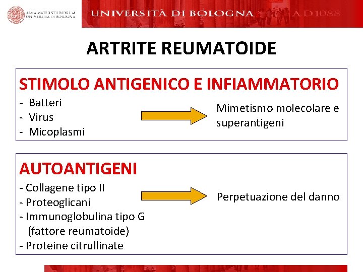 ARTRITE REUMATOIDE STIMOLO ANTIGENICO E INFIAMMATORIO - Batteri - Virus - Micoplasmi Mimetismo molecolare ARTRITE REUMATOIDE STIMOLO ANTIGENICO E INFIAMMATORIO - Batteri - Virus - Micoplasmi Mimetismo molecolare