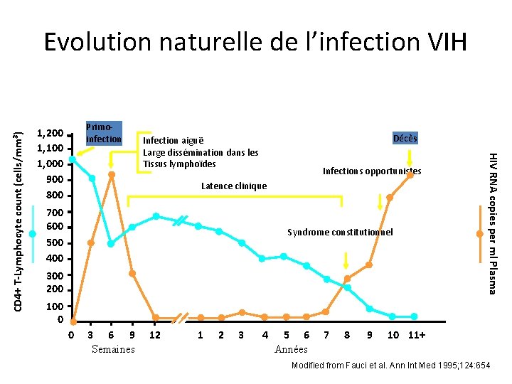 Primoinfection 1, 200 1, 100 1, 000 900 800 Décès Infection aiguë Large dissémination