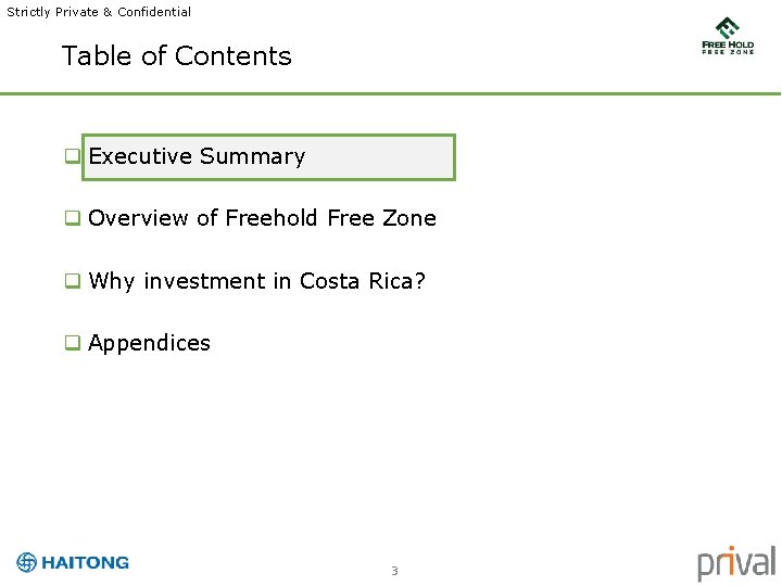 Strictly Private & Confidential Table of Contents q Executive Summary q Overview of Freehold