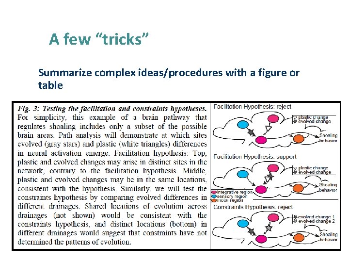A few “tricks” Summarize complex ideas/procedures with a figure or table 