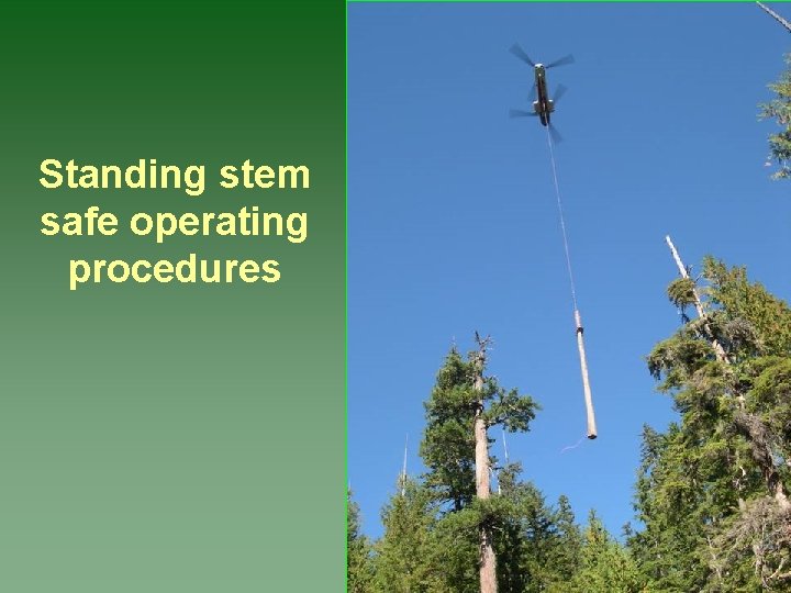 Standing stem safe operating procedures 