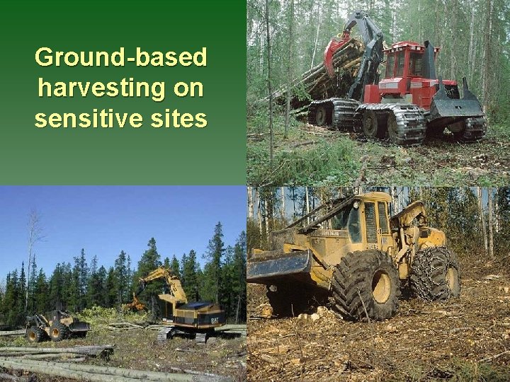 Ground-based harvesting on sensitive sites 