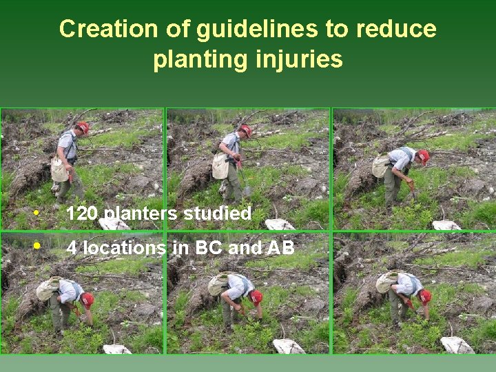 Creation of guidelines to reduce planting injuries • 120 planters studied • 4 locations