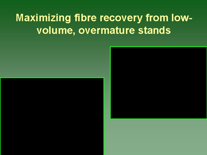 Maximizing fibre recovery from lowvolume, overmature stands 