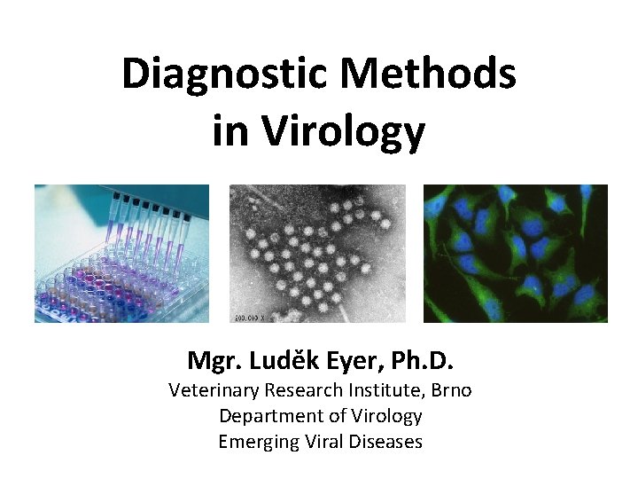 Diagnostic Methods in Virology Mgr. Luděk Eyer, Ph. D. Veterinary Research Institute, Brno Department
