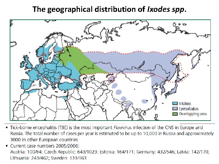 The geographical distribution of Ixodes spp. 