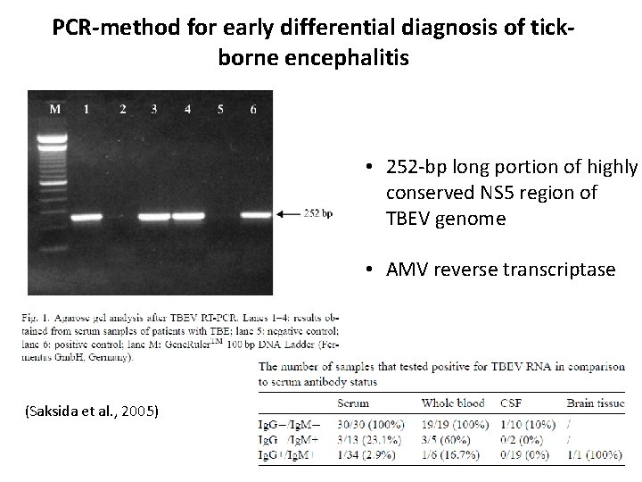 PCR-method for early differential diagnosis of tickborne encephalitis • 252 -bp long portion of