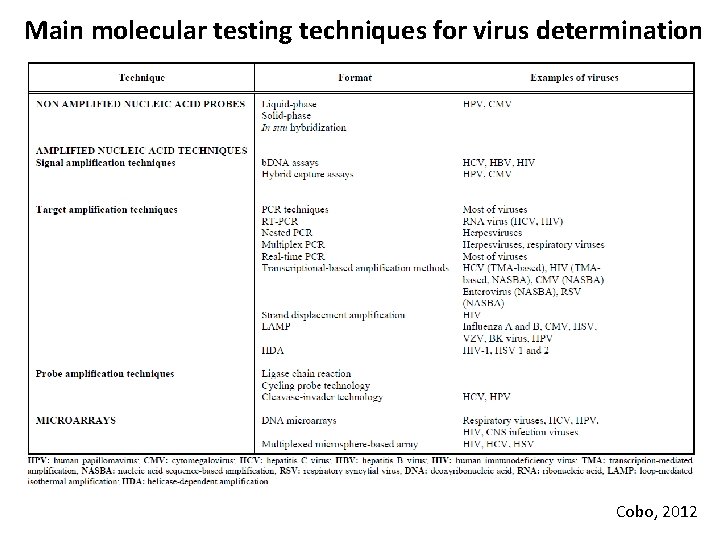 Main molecular testing techniques for virus determination Cobo, 2012 