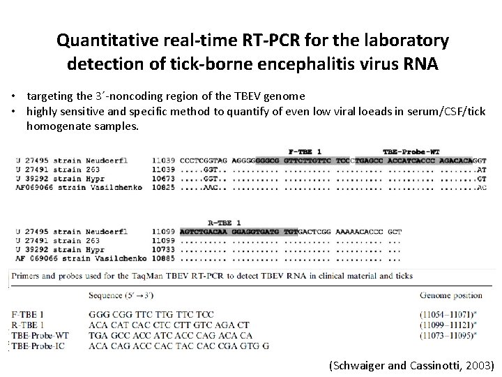 Quantitative real-time RT-PCR for the laboratory detection of tick-borne encephalitis virus RNA • targeting
