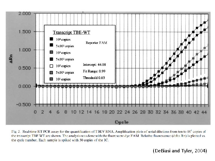 (De. Biasi and Tyler, 2004) 