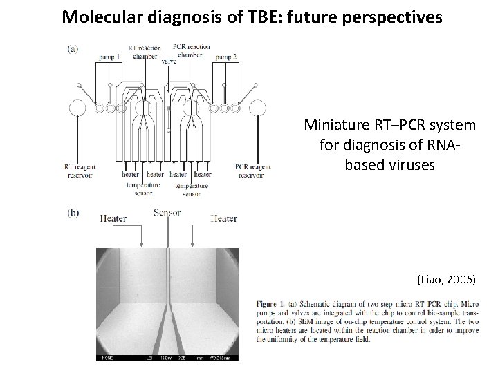 Molecular diagnosis of TBE: future perspectives Miniature RT–PCR system for diagnosis of RNAbased viruses
