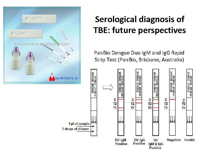 Serological diagnosis of TBE: future perspectives Pan. Bio Dengue Duo Ig. M and Ig.