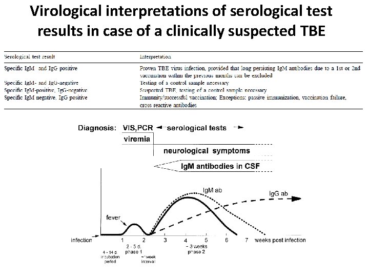 Virological interpretations of serological test results in case of a clinically suspected TBE 