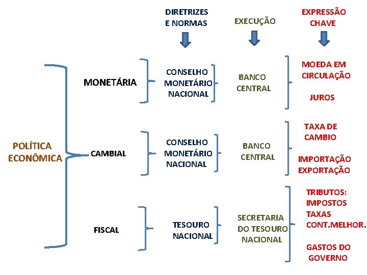  DIRETRIZES E NORMAS EXECUÇÃO CONSELHO MONETÁRIA MONETÁRIO MONETÁRIA NACIONAL POLÍTICA ECONÔMICA CAMBIAL FISCAL