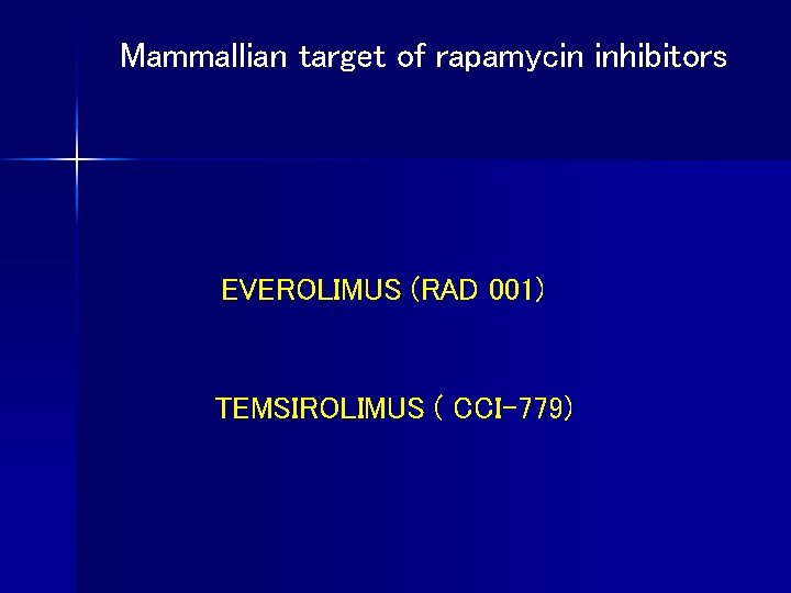 Mammallian target of rapamycin inhibitors EVEROLIMUS (RAD 001) TEMSIROLIMUS ( CCI-779) 