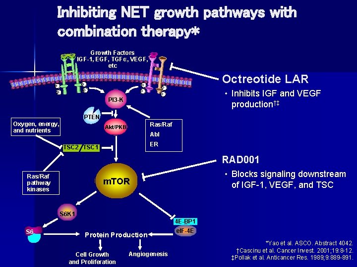 Inhibiting NET growth pathways with combination therapy* Growth Factors IGF-1, EGF, TGFα, VEGF, etc