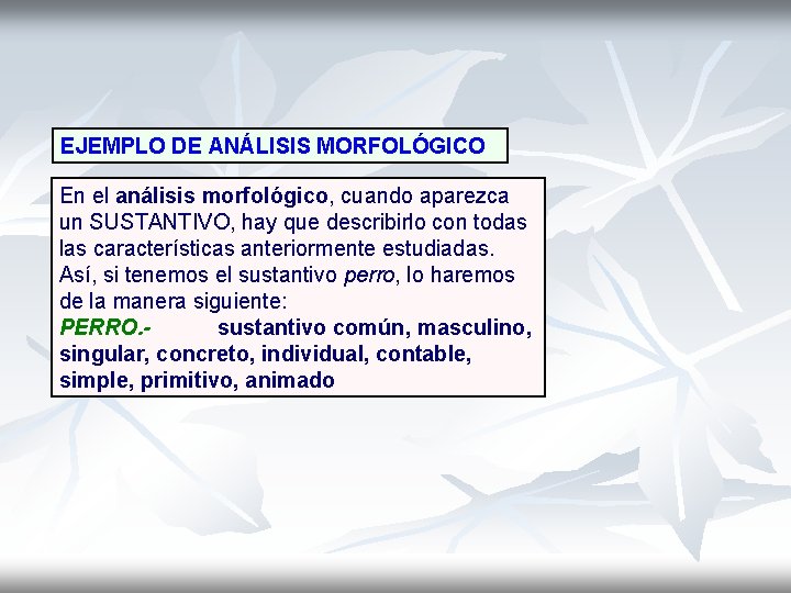 EJEMPLO DE ANÁLISIS MORFOLÓGICO En el análisis morfológico, cuando aparezca un SUSTANTIVO, hay que