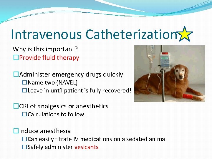 Intravenous Catheterization Why is this important? �Provide fluid therapy �Administer emergency drugs quickly �Name