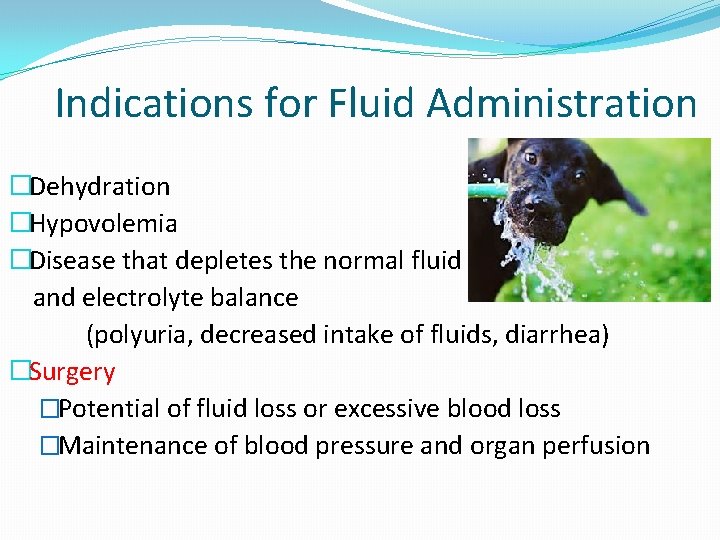 Indications for Fluid Administration �Dehydration �Hypovolemia �Disease that depletes the normal fluid and electrolyte