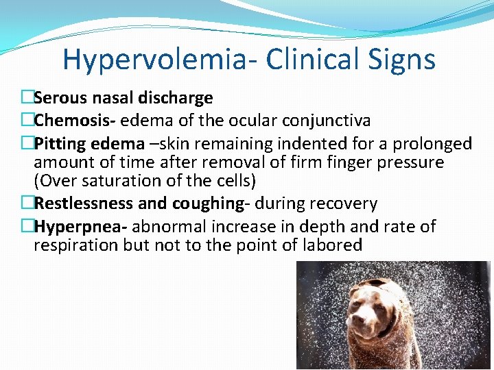 Hypervolemia- Clinical Signs �Serous nasal discharge �Chemosis- edema of the ocular conjunctiva �Pitting edema
