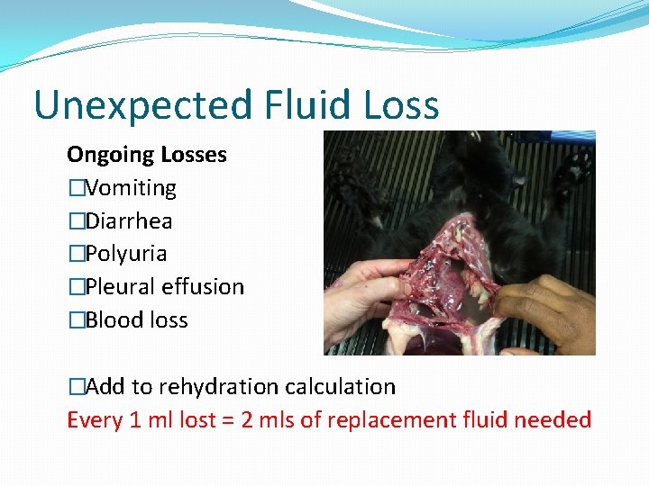 Unexpected Fluid Loss Ongoing Losses �Vomiting �Diarrhea �Polyuria �Pleural effusion �Blood loss �Add to