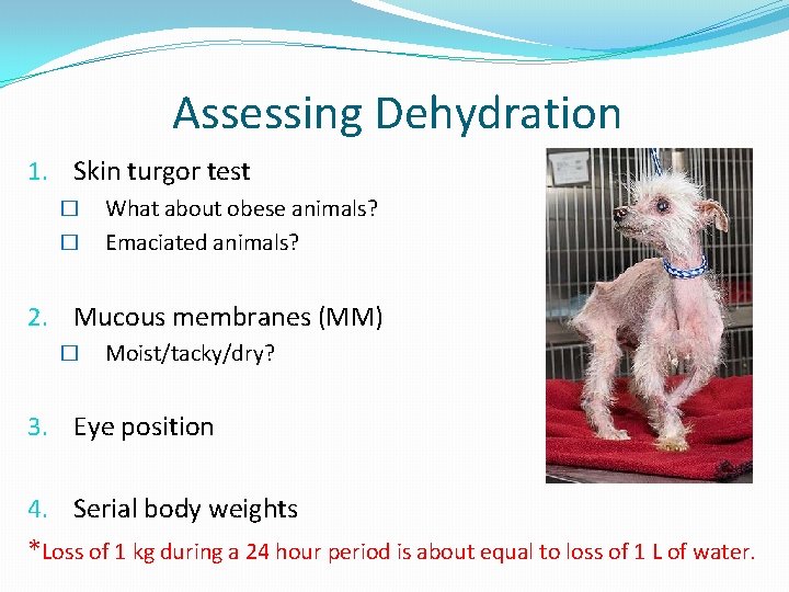 Assessing Dehydration 1. Skin turgor test � � What about obese animals? Emaciated animals?