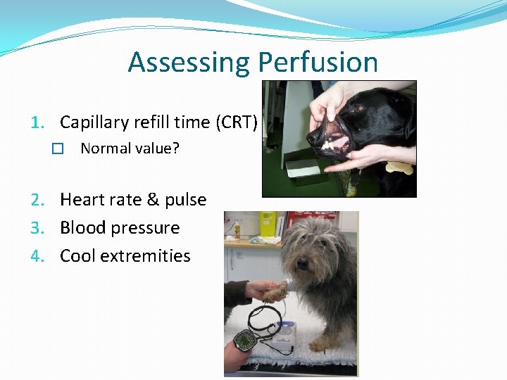 Assessing Perfusion 1. Capillary refill time (CRT) � Normal value? 2. Heart rate &