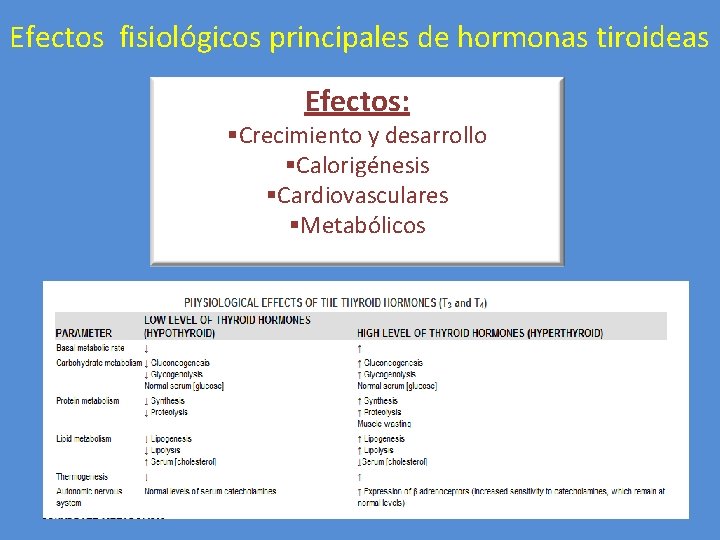 Efectos fisiológicos principales de hormonas tiroideas Efectos: §Crecimiento y desarrollo §Calorigénesis §Cardiovasculares §Metabólicos 