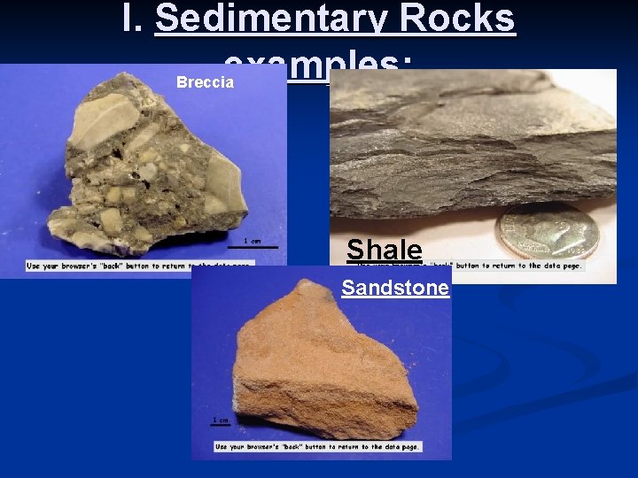 I. Sedimentary Rocks examples: Breccia Shale Sandstone 