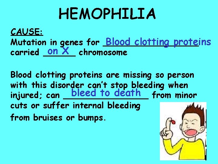 HEMOPHILIA CAUSE: Mutation in genes for _________ Blood clotting proteins on X chromosome carried HEMOPHILIA CAUSE: Mutation in genes for _________ Blood clotting proteins on X chromosome carried