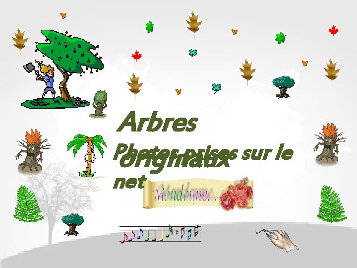 Arbres Photos prises sur le originaux net 