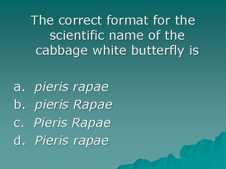 The correct format for the scientific name of the cabbage white butterfly is a.