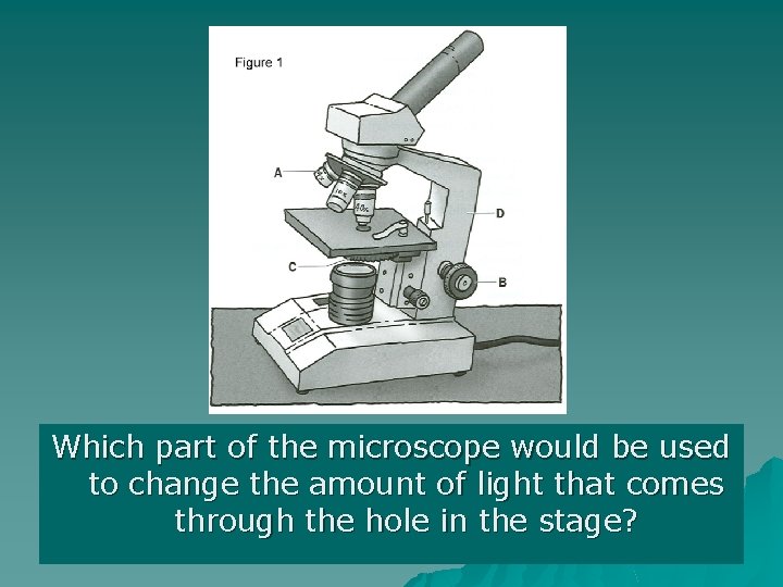 Which part of the microscope would be used to change the amount of light
