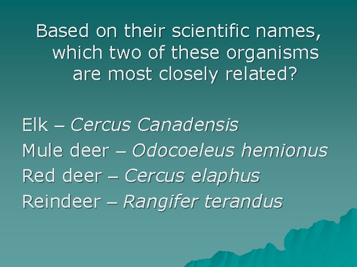 Based on their scientific names, which two of these organisms are most closely related?