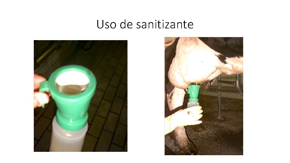 Uso de sanitizante 