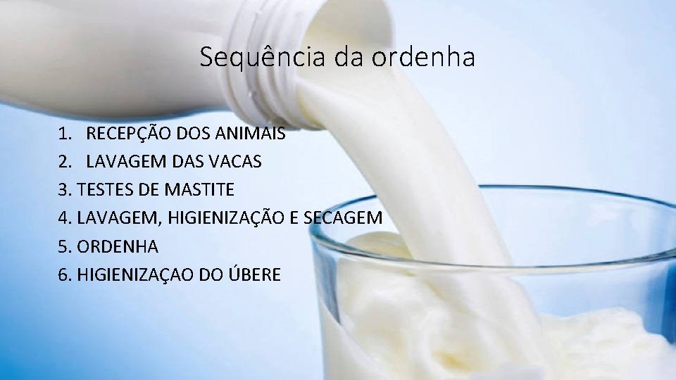 Sequência da ordenha 1. RECEPÇÃO DOS ANIMAIS 2. LAVAGEM DAS VACAS 3. TESTES DE