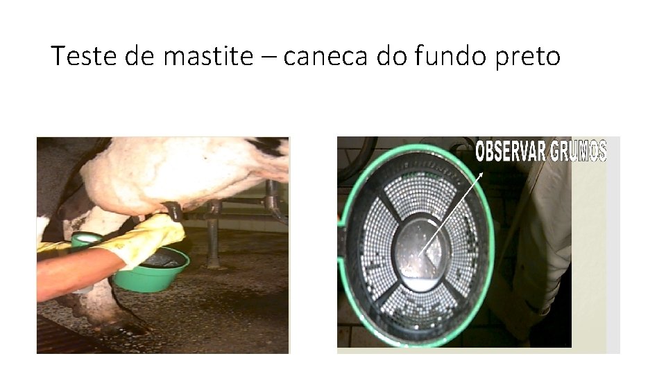 Teste de mastite – caneca do fundo preto 