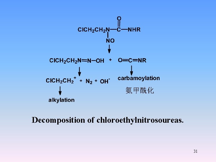 氨甲酰化 Decomposition of chloroethylnitrosoureas. 31 