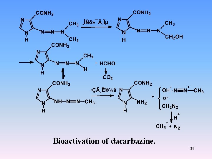 Bioactivation of dacarbazine. 34 