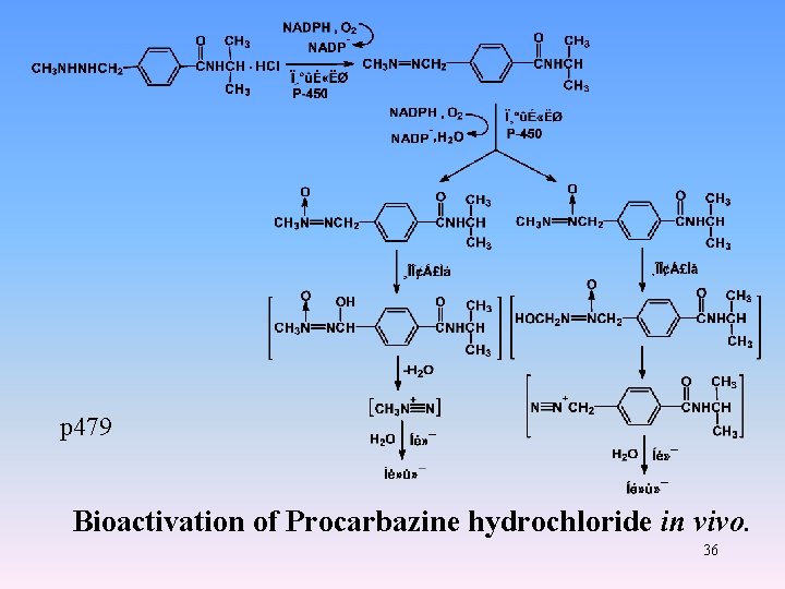 p 479 Bioactivation of Procarbazine hydrochloride in vivo. 36 