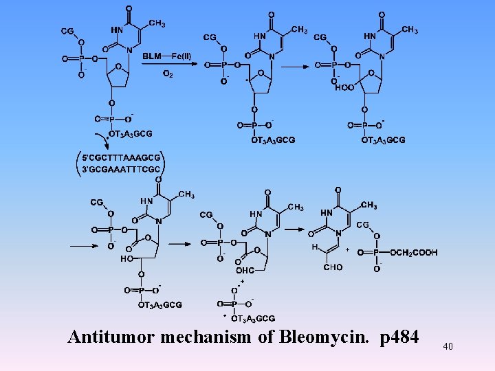 Antitumor mechanism of Bleomycin. p 484 40 Antitumor mechanism of Bleomycin. p 484 40