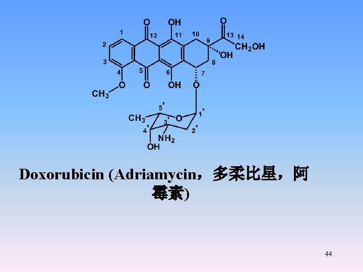 Doxorubicin (Adriamycin，多柔比星，阿 霉素) 44 