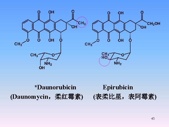 *Daunorubicin Epirubicin (Daunomycin，柔红霉素) (表柔比星，表阿霉素) 45 