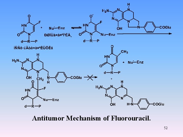 Antitumor Mechanism of Fluorouracil. 52 