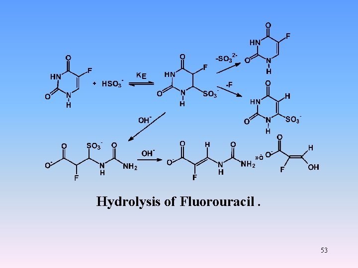 Hydrolysis of Fluorouracil. 53 