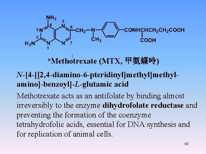 *Methotrexate (MTX, 甲氨蝶呤) N-[4 -[[2, 4 -diamino-6 -pteridinyl]methylamino]-benzoyl]-L-glutamic acid Methotrexate acts as an antifolate