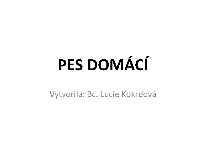 PES DOMÁCÍ Vytvořila: Bc. Lucie Kokrdová 