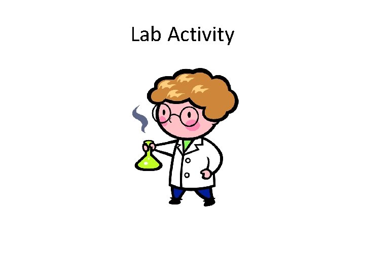 Lab Activity 